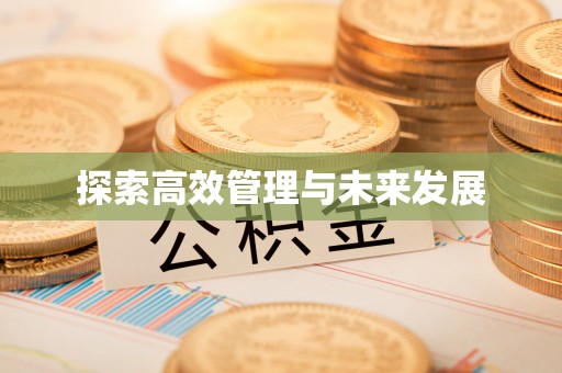 缙云探索高效管理与未来发展