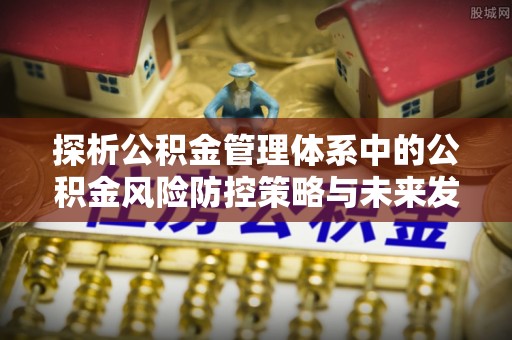 缙云探析公积金管理体系中的公积金风险防控策略与未来发展