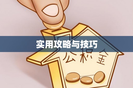 缙云实用攻略与技巧
