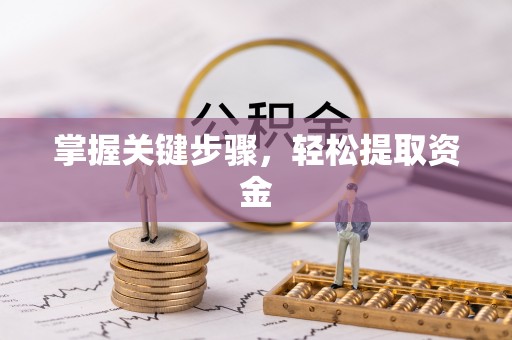 缙云掌握关键步骤，轻松提取资金