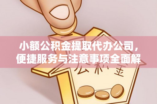 缙云小额公积金提取代办公司，便捷服务与注意事项全面解析