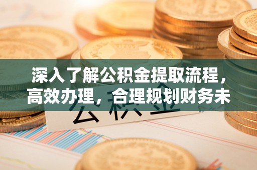 缙云深入了解公积金提取流程，高效办理，合理规划财务未来
