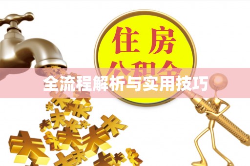 缙云全流程解析与实用技巧