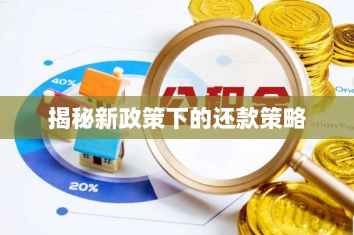 缙云揭秘新政策下的还款策略