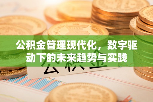 缙云公积金管理现代化，数字驱动下的未来趋势与实践