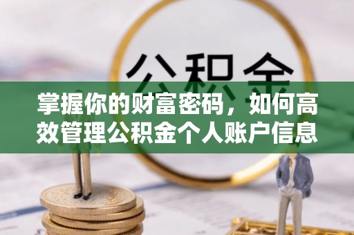 缙云掌握你的财富密码，如何高效管理公积金个人账户信息