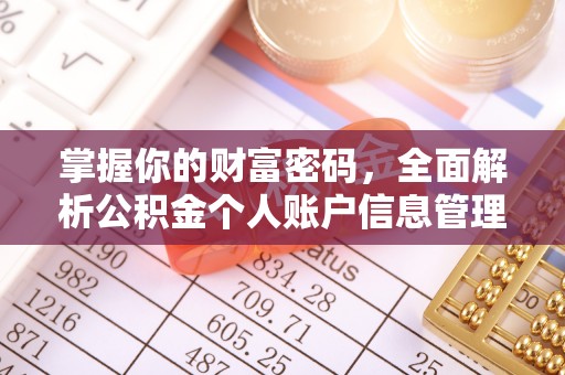 缙云掌握你的财富密码，全面解析公积金个人账户信息管理与优化