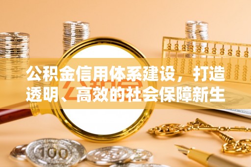 缙云公积金信用体系建设，打造透明、高效的社会保障新生态