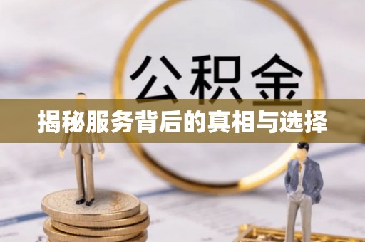 缙云揭秘服务背后的真相与选择