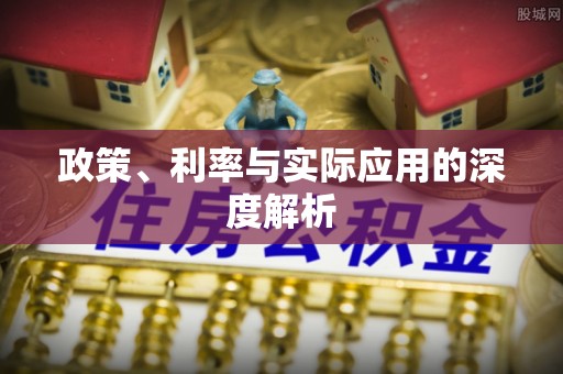 缙云政策、利率与实际应用的深度解析