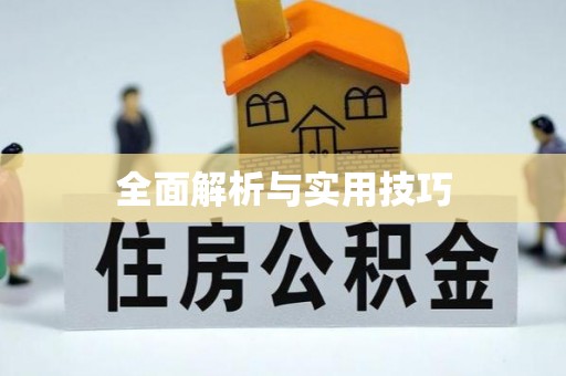 缙云全面解析与实用技巧