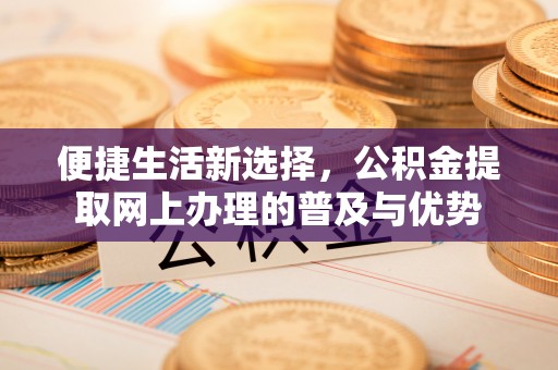 缙云便捷生活新选择，公积金提取网上办理的普及与优势
