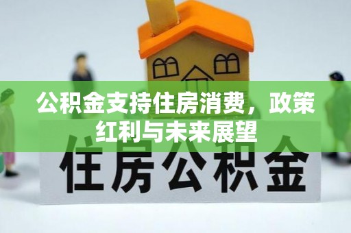 缙云公积金支持住房消费，政策红利与未来展望