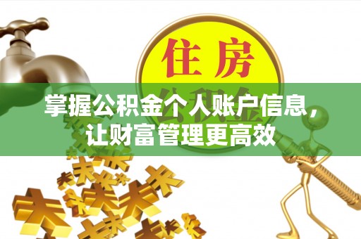 缙云掌握公积金个人账户信息，让财富管理更高效