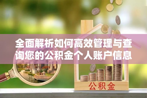 缙云全面解析如何高效管理与查询您的公积金个人账户信息
