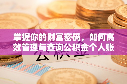 缙云掌握你的财富密码，如何高效管理与查询公积金个人账户信息