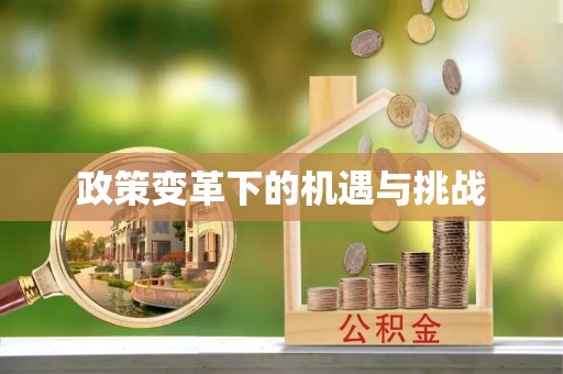 缙云政策变革下的机遇与挑战