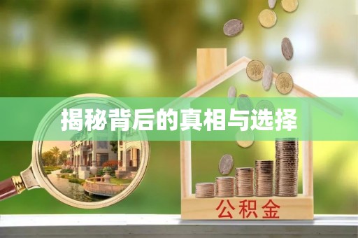 缙云揭秘背后的真相与选择