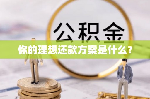 缙云你的理想还款方案是什么？