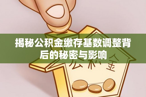 缙云揭秘公积金缴存基数调整背后的秘密与影响