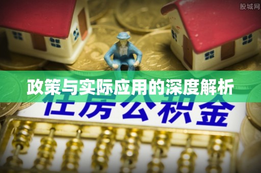 缙云政策与实际应用的深度解析