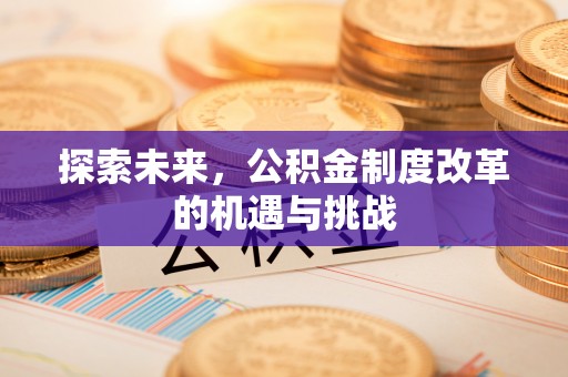 缙云探索未来，公积金制度改革的机遇与挑战