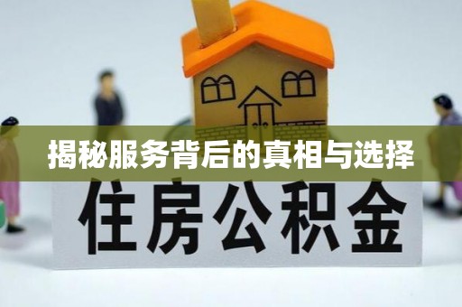 缙云揭秘服务背后的真相与选择