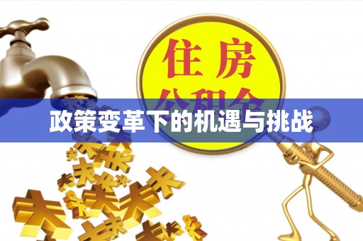 缙云政策变革下的机遇与挑战