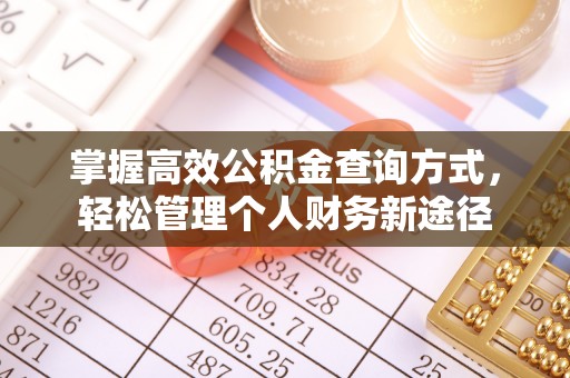 缙云掌握高效公积金查询方式，轻松管理个人财务新途径