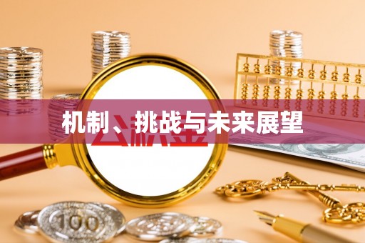 缙云机制、挑战与未来展望