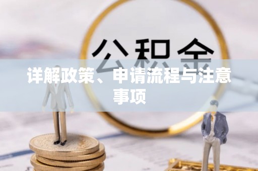 缙云详解政策、申请流程与注意事项