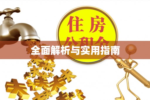 缙云全面解析与实用指南