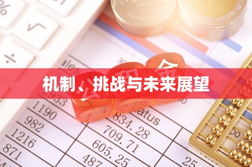 缙云机制、挑战与未来展望