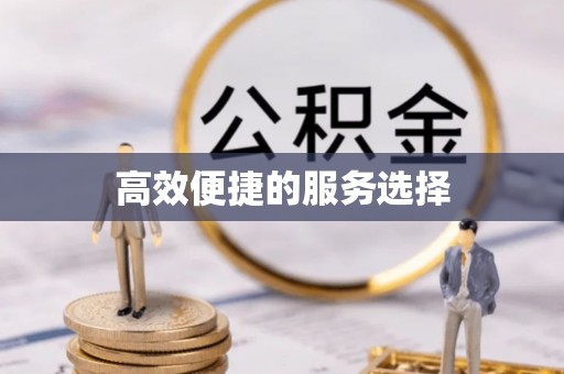 缙云高效便捷的服务选择