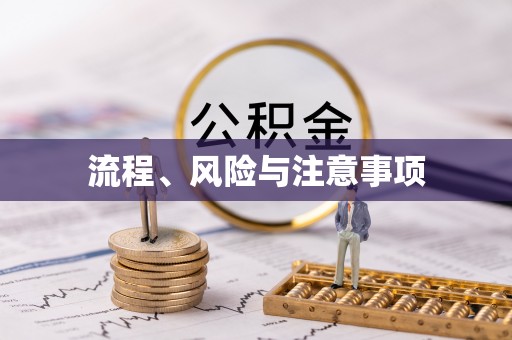 缙云流程、风险与注意事项