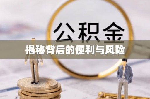 缙云揭秘背后的便利与风险
