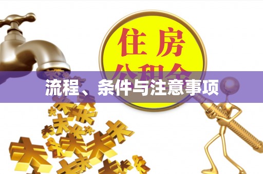 缙云流程、条件与注意事项