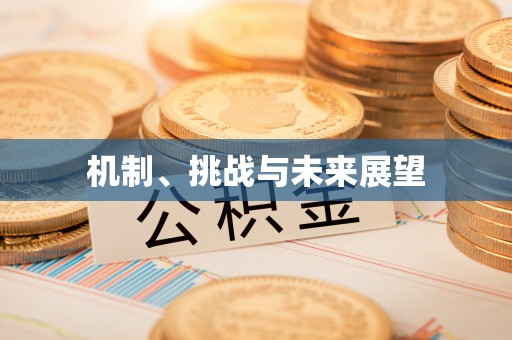 缙云机制、挑战与未来展望